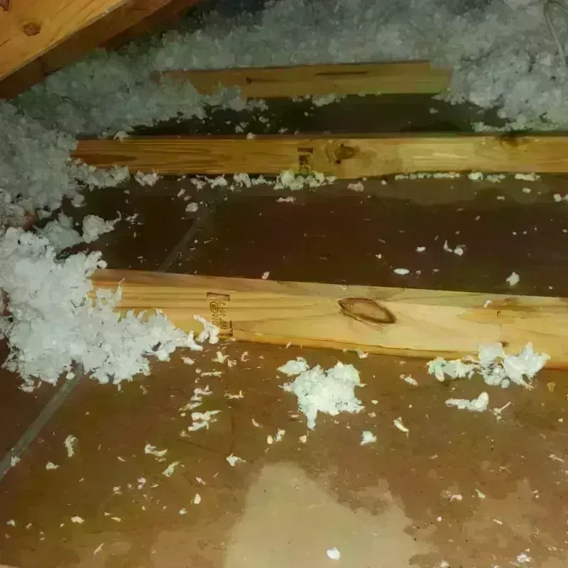 Attic Water Damage in San Carlos Park, FL