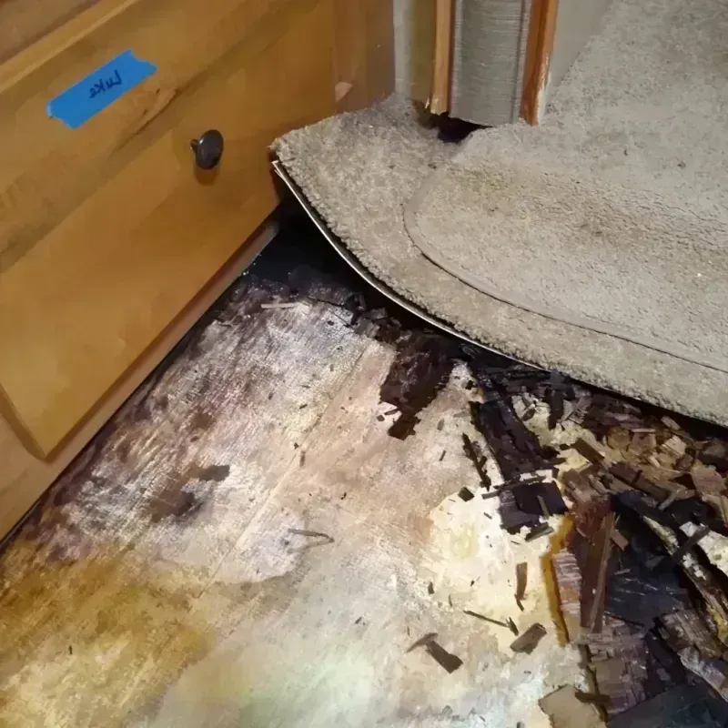 Wood Floor Water Damage in San Carlos Park, FL